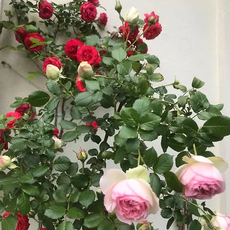 Au Dessus Du Chateau Apartamento *