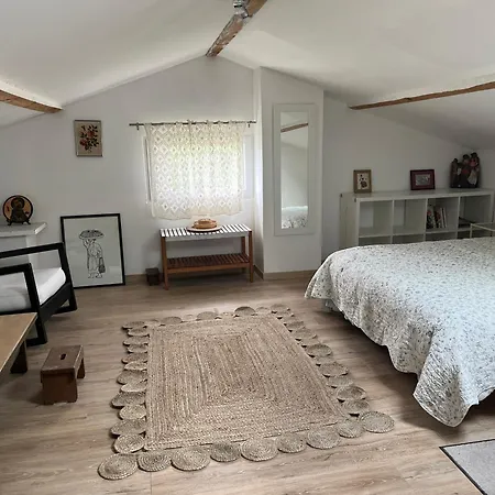 Au Dessus Du Chateau Apartmán Foix